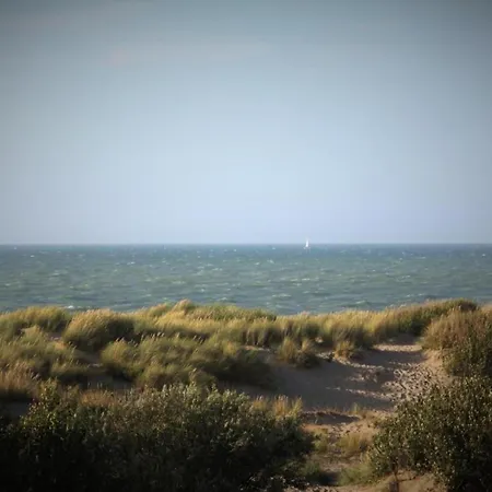 Studio In De Haan Near Sea And Dunes
